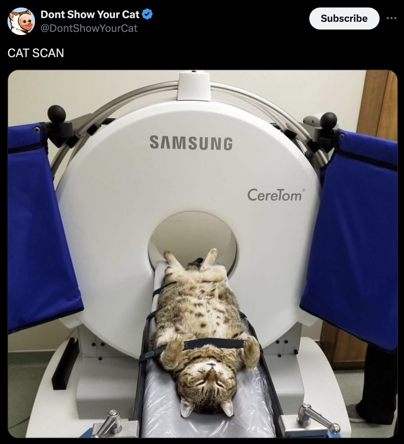 Dont Show Your Cat Cat Scan Samsung CereTom' Subscribe